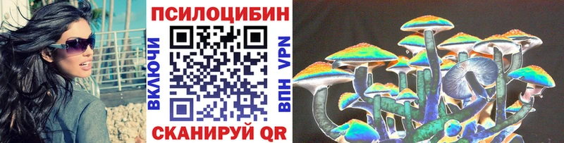 Купить закладки  Славянск-на-Кубани  Псилоцибиновые грибы Psilocybe 