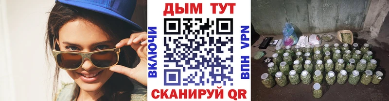 Купить  Славянск-на-Кубани  Марихуана индика 